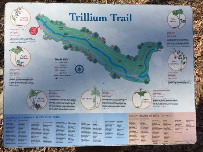 Picture 4 of Trillium Trail