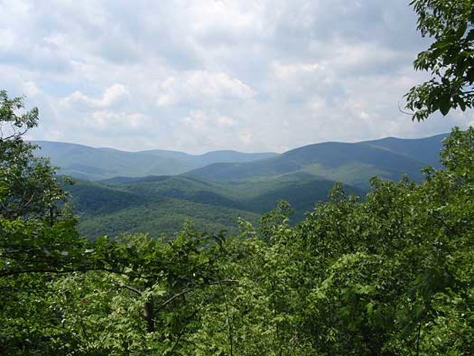 Default image for Trimble Mountain Hike, a 4.4-mile trail in Mount Solon, VA (US)