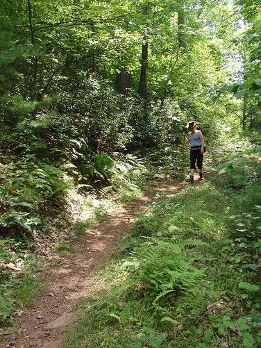 Picture 4 of Trimble Mountain Hike 072608