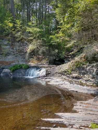 Picture 5 of Trip report Raymondskill Falls 