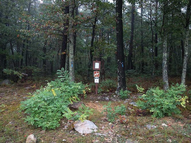 Picture 45 of Trout Pond Hike 100116