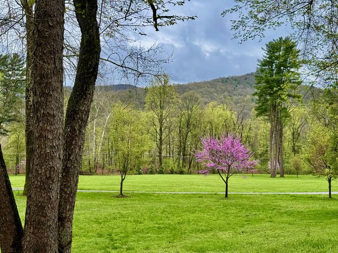 Picture 1 of Trout Run Loop April 19 2026