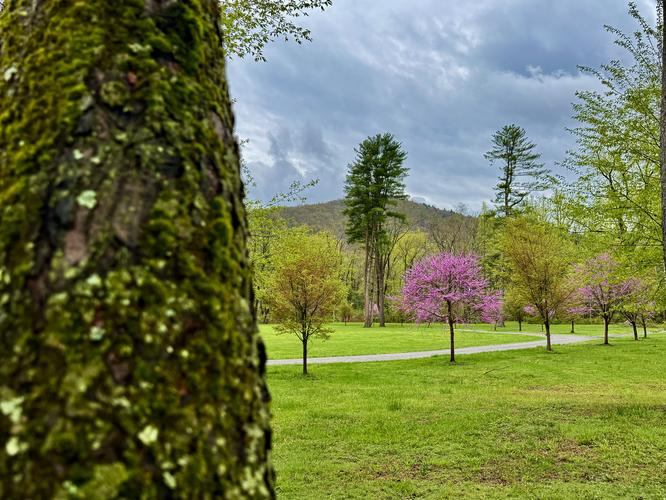Picture 2 of Trout Run Loop April 19 2026