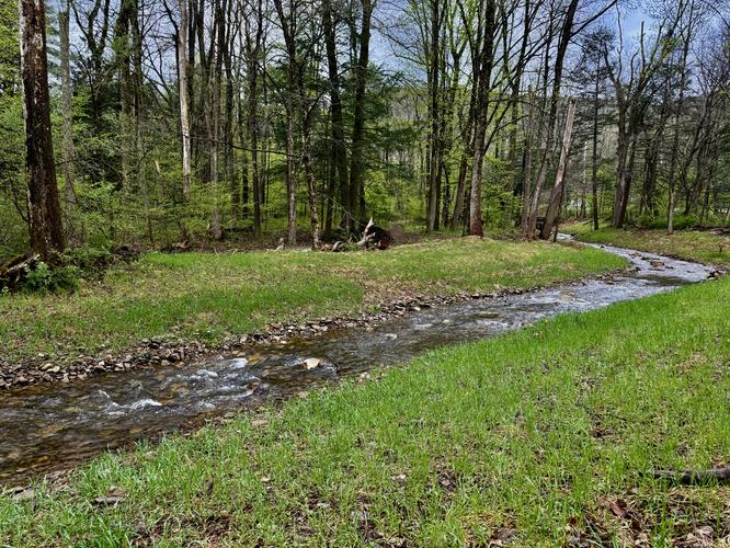 Picture 6 of Trout Run Loop April 19 2026
