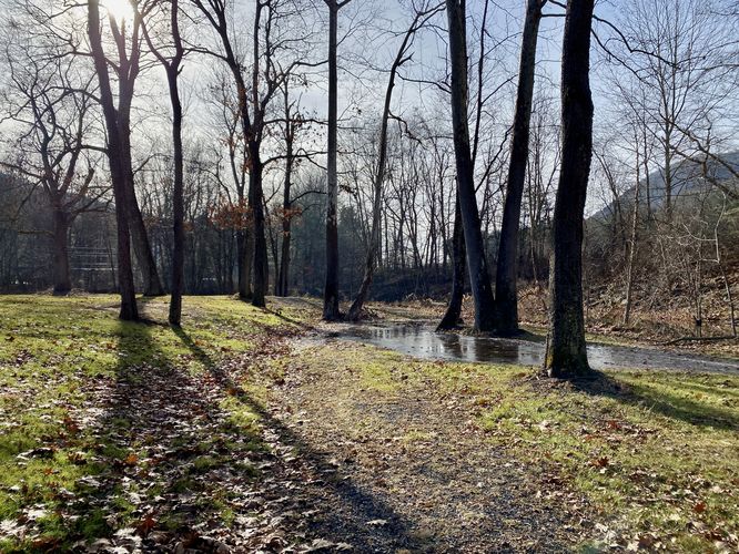 Watersoaked trail at Trout Run Park