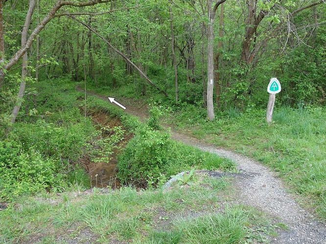 Picture 3 of Trumbo Hollow Hike 043016