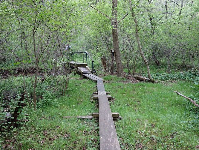Picture 4 of Trumbo Hollow Hike 043016