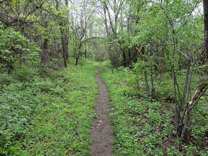 Picture 12 of Trumbo Hollow Hike 043016