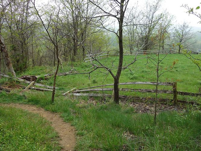 Picture 15 of Trumbo Hollow Hike 043016