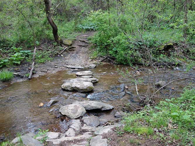 Picture 20 of Trumbo Hollow Hike 043016