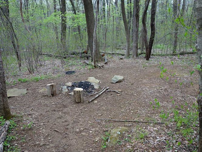 Picture 21 of Trumbo Hollow Hike 043016
