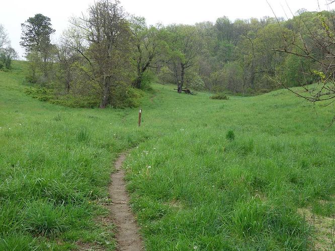 Picture 26 of Trumbo Hollow Hike 043016