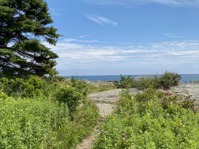 Hiking the Trundy Point Trail to reach the coastline