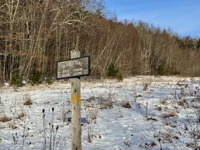 Tully Mountain - Tully Mountain Loop 12262025 album