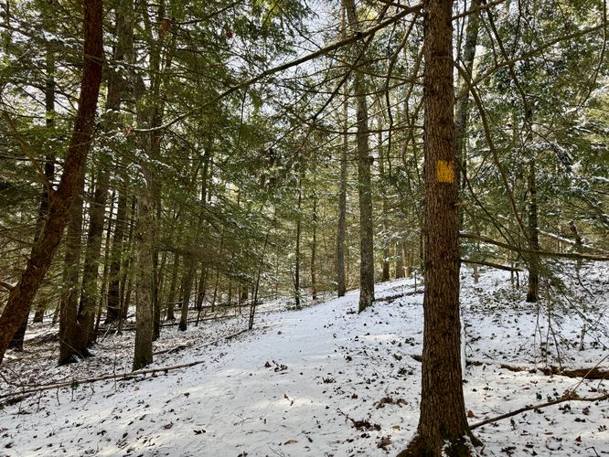 Picture 2 of Tully Mountain Loop 12262025