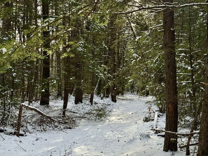 Picture 12 of Tully Mountain Loop 12262025