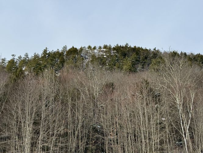 Picture 13 of Tully Mountain Loop 12262025