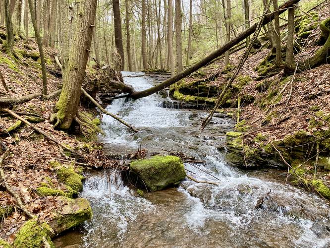 Tumbling Run Falls (approx. 13-feet tall by 25-feet long)