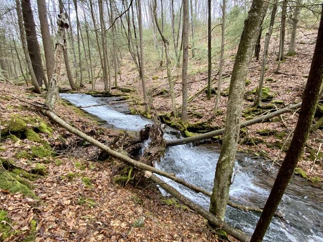 Tumbling Run Falls (approx. 13-feet tall by 25-feet long)