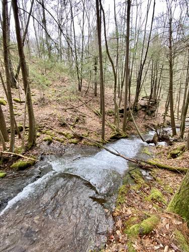 Top of Tumbling Run Falls (approx. 13-feet tall by 25-feet long)