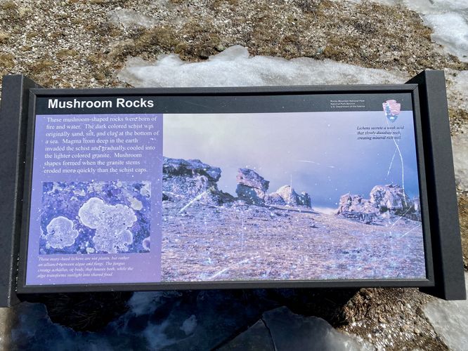 Mushroom Rocks info kiosk
