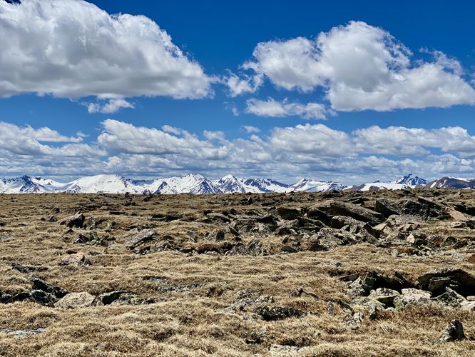 Rock field with mountain views