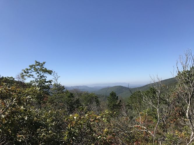 Picture 6 of Turk Mountain Hike 060117