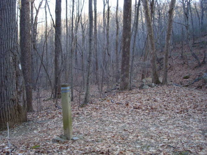 Picture 5 of Turk Mountain Hike 122308