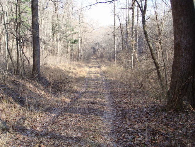 Picture 6 of Turk Mountain Hike 122308