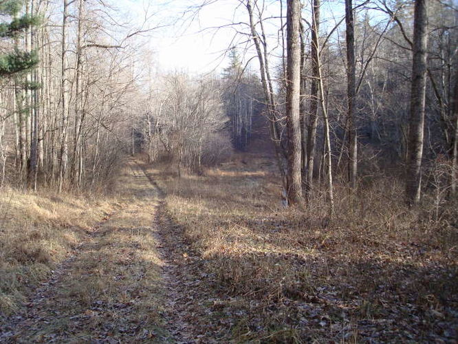 Picture 7 of Turk Mountain Hike 122308