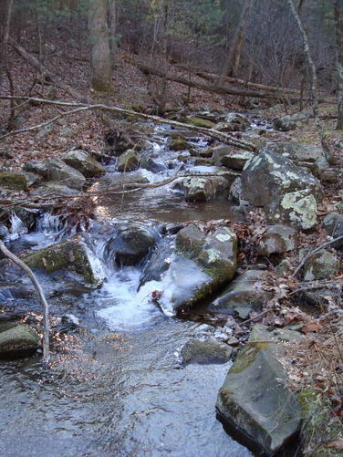 Picture 8 of Turk Mountain Hike 122308