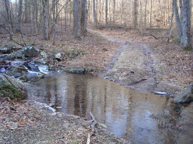 Picture 9 of Turk Mountain Hike 122308