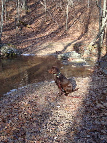 Picture 10 of Turk Mountain Hike 122308