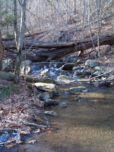 Picture 11 of Turk Mountain Hike 122308