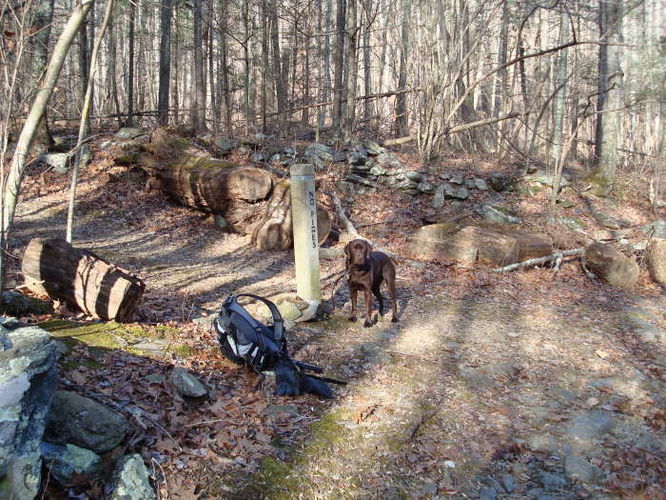 Picture 13 of Turk Mountain Hike 122308