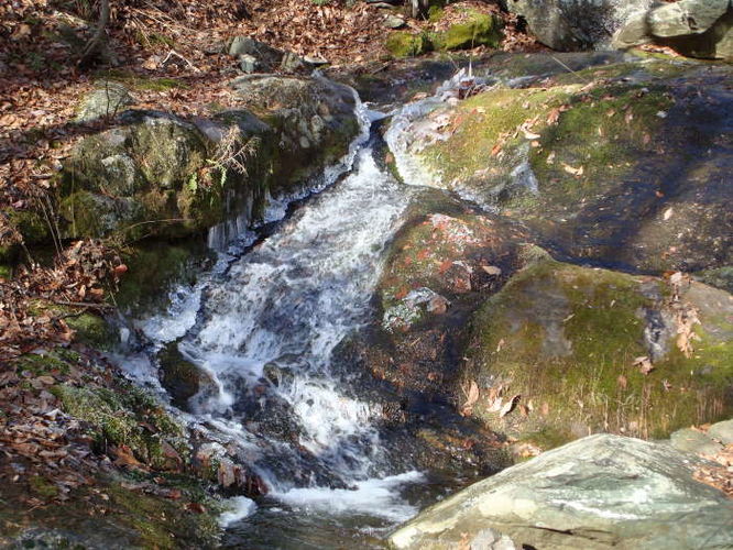 Picture 14 of Turk Mountain Hike 122308