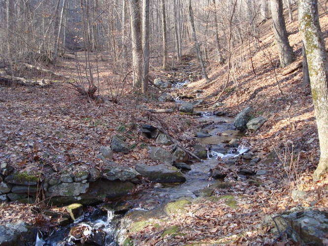 Picture 15 of Turk Mountain Hike 122308
