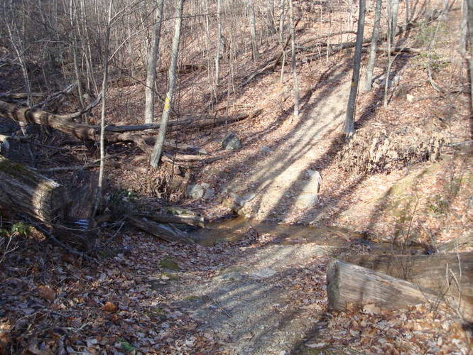 Picture 16 of Turk Mountain Hike 122308