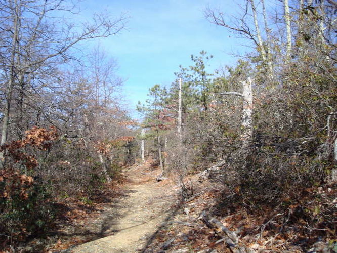 Picture 17 of Turk Mountain Hike 122308