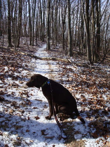 Picture 20 of Turk Mountain Hike 122308
