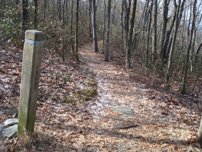 Picture 21 of Turk Mountain Hike 122308