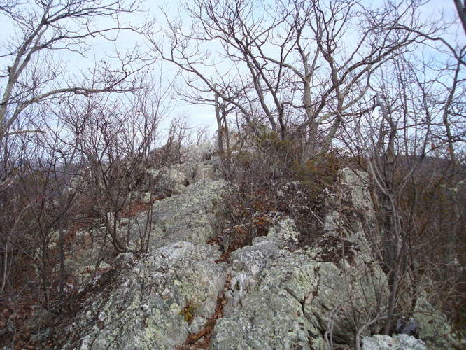 Picture 24 of Turk Mountain Hike 122308