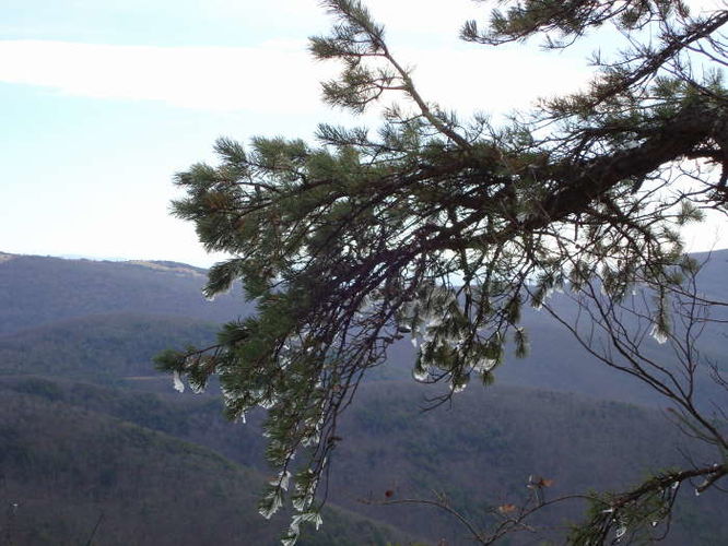 Picture 25 of Turk Mountain Hike 122308