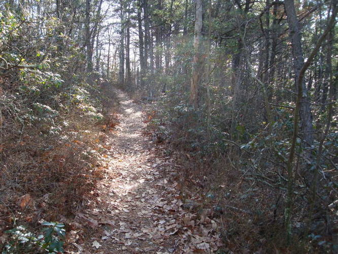 Picture 28 of Turk Mountain Hike 122308