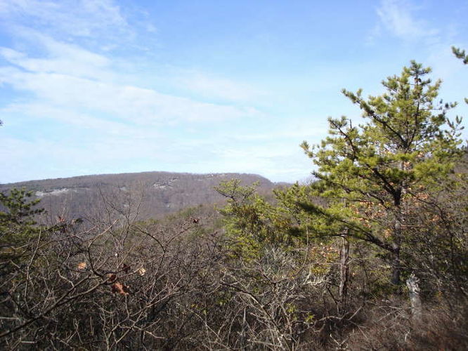 Picture 29 of Turk Mountain Hike 122308