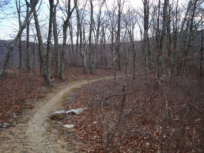 Picture 31 of Turk Mountain Hike 122308