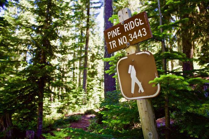 Pine Ridge Trail sign