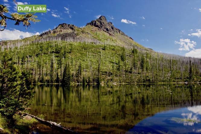 Picture 16 of Turpentine Trail-Duffy Lake-Pine Ridge Loop