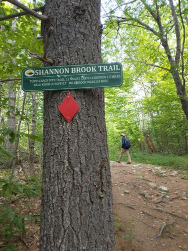 Trails are well marked and blazed