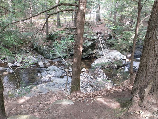 View of Shannon Brook from the trail